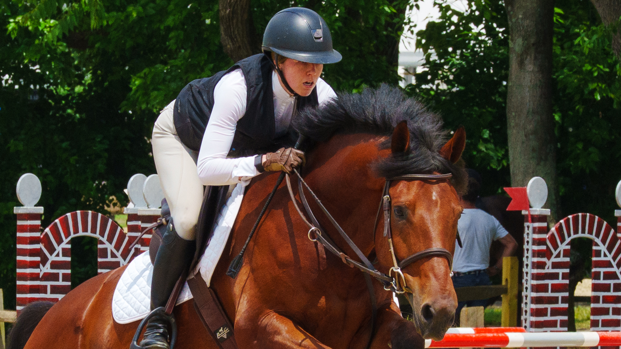Warrenton Pony Show